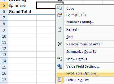 Ta fram dialogförnstret för Pivot Table Options.