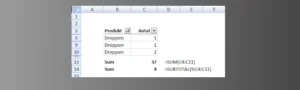 I denna artikel fokuserar vi på hur man använder formeln SUBTOTAL (DELSUMMA) för att säkerställa korrekta summeringar i filtrerade listor.
